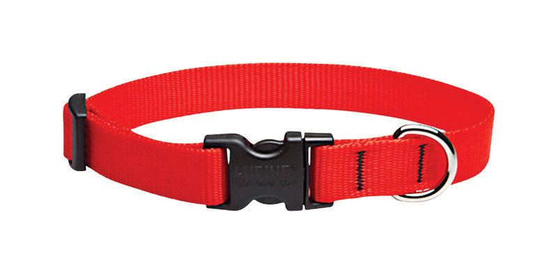 Lupine Pet, Collier ajustable en nylon pour chien Lupine Pet Basic Solids Red Red