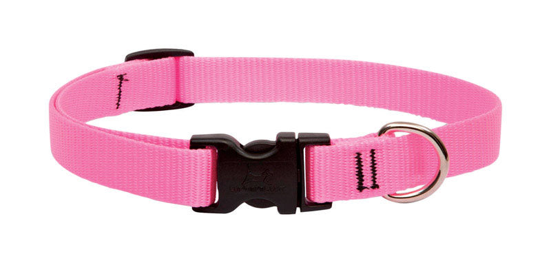 LUPINE INC, Collier ajustable pour chien en nylon rose LupinePet Basic Solids Pink Pink