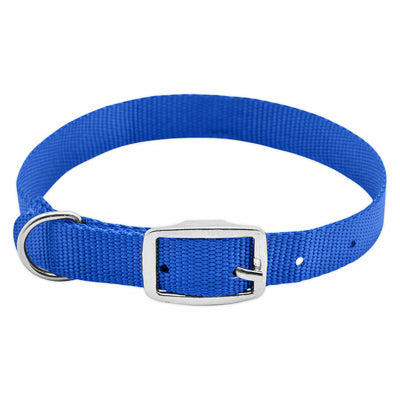 Expert en animaux de compagnie, Collier ajustable pour chien, nylon bleu, 3/4 x 17 à 20-In. (Lot de 3)