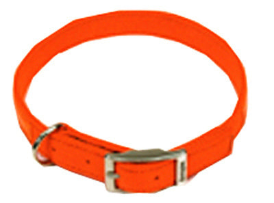 Coastal Pet Products, Inc., Collier pour chien, Safety Orange, 1 x 20-In.