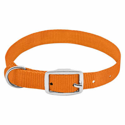 Pet Expert, Collier pour chien, ajustable, Nylon orange, boucle Quadlock, 1 x 19 à 22-In.