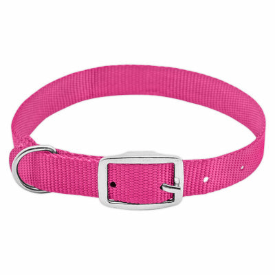 Pet Expert, Collier pour chien, ajustable, Nylon rose, 3/4 x 17 à 20-In. (Lot de 3)