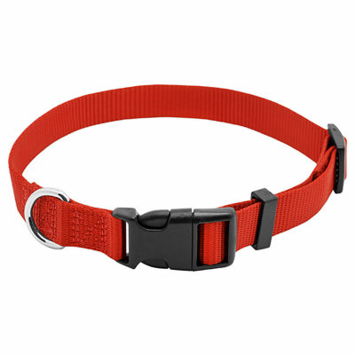 Pet Expert, Collier pour chien, ajustable, nylon rouge, boucle Quadlock, 3/4 x 14 à 20-In.