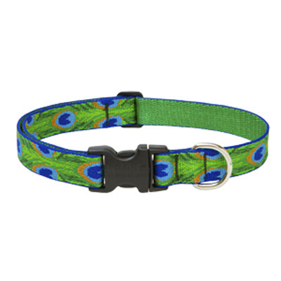 LUPINE INC, Collier pour chien, ajustable, plume de queue, 3/4 x 13 à 22-In.