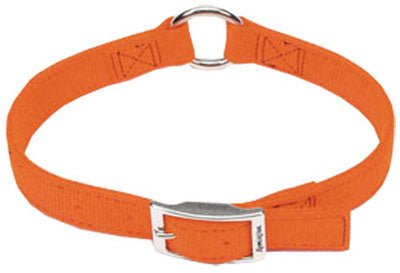 Coastal Pet Products, Inc., Collier pour chien, double épaisseur, orange,. 1 x 18-In.