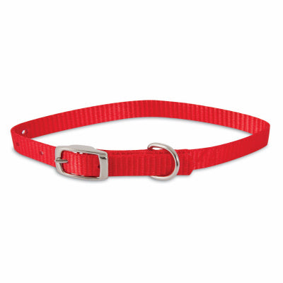 Petmate, Collier pour chien, rouge, 3/8 x 12-In. (paquet de 3)