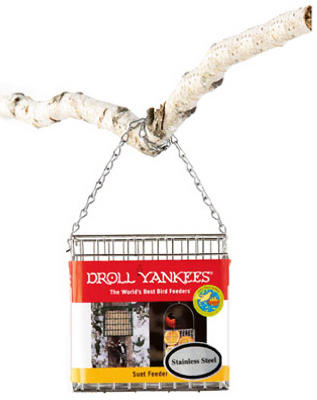 Droll Yankees Inc, Droll Yankees Premium Suet Feeder 5 In. X 5 In. X 1.5 In. Acier inoxydable