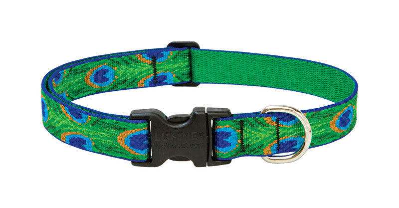 Lupine Pet, Lupine Pet Original Designs Collier ajustable en nylon pour chien avec plumes de queue multicolores