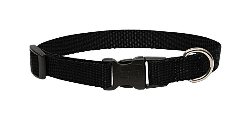 Lupine Pet, LupinePet Basic Solids Collier ajustable en nylon noir pour chien