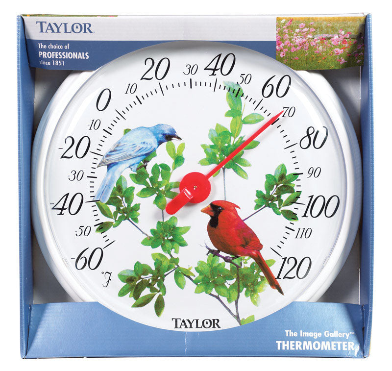 LIFETIME BRANDS CORPORATION, Taylor Cardinal/Blue Bird Dial Thermometer Plastic Multicolored 13.25 in.